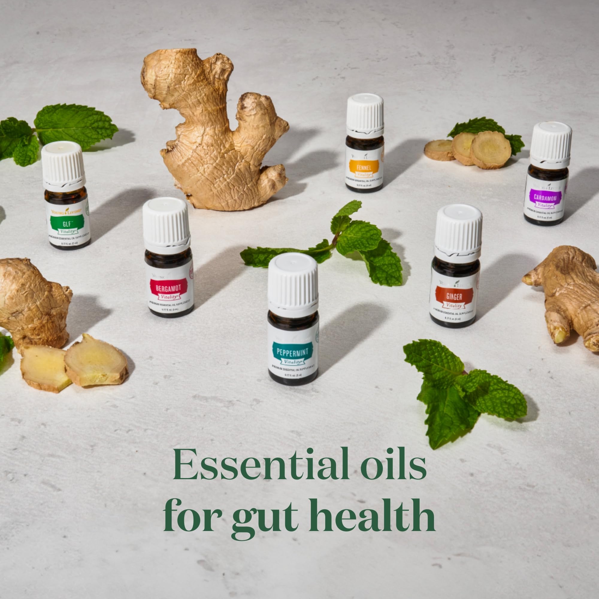 Amazon.com: Vitality Peppermint Essential Oil 5ml by Young Living